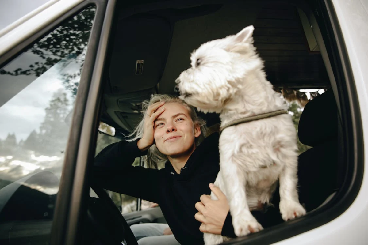 pet-travel
